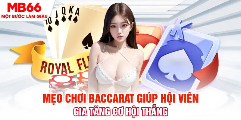 suncity88 đá gà 88