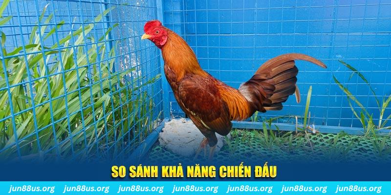 suncity88 xổ số tiền giang