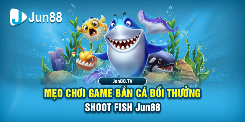 suncity88 tai game danh bai bigkool ve may tinh
