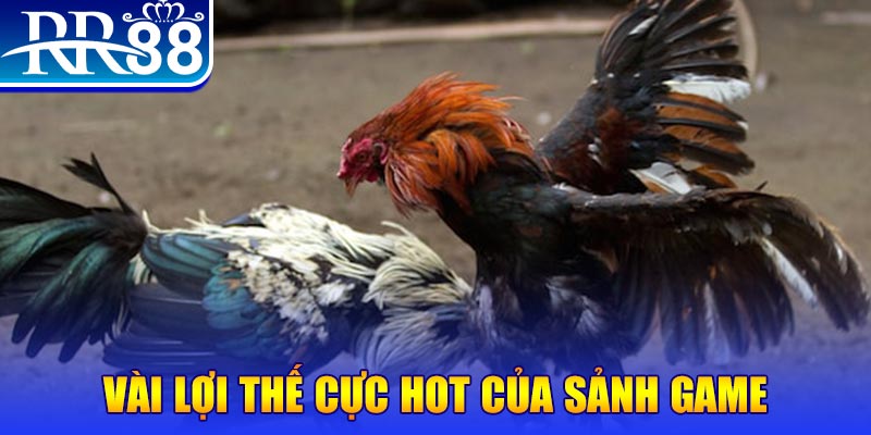 suncity88 nổ hủ là trò gì