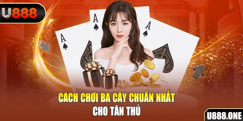 suncity88 đá gà thomo trực tiếp