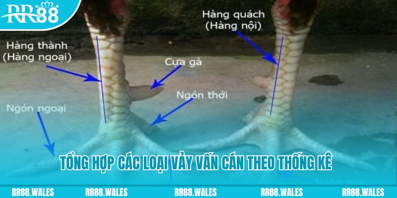 suncity88 nổ hũ chơi như thế nào
