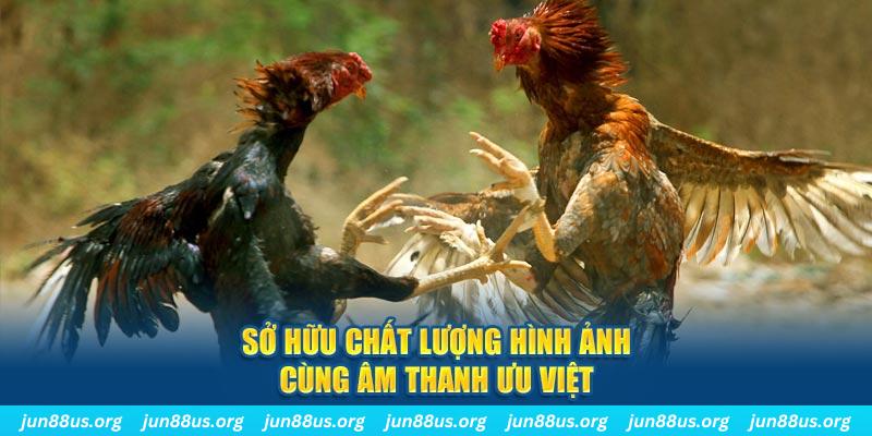 suncity88 tai game danh bai ve may tinh