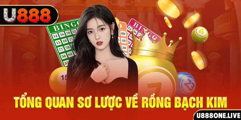 suncity88 nổ hũ ai là gì