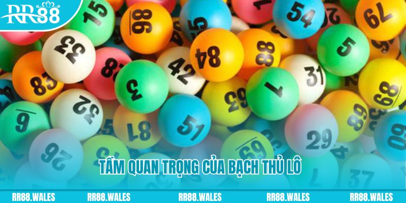 suncity88 đá gà trực tiếp casino