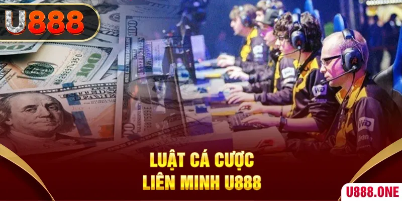 suncity88 Con át chủ bài Chuhande