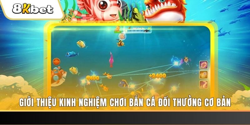suncity88 8 bí ẩn chơi nổ hũ ít ai biết