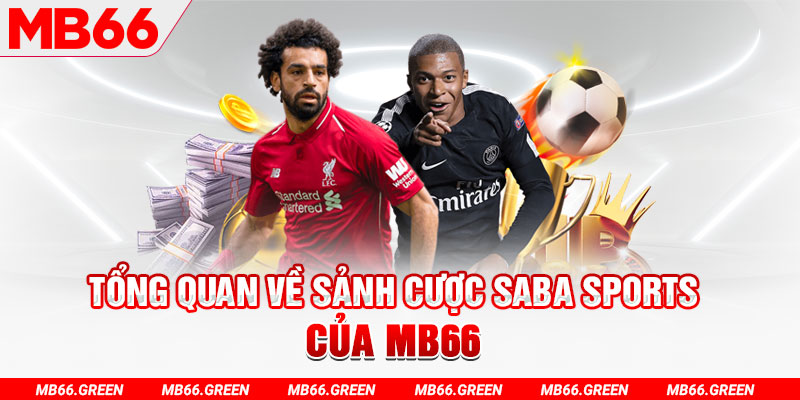 suncity88 slot có nghĩa là gì