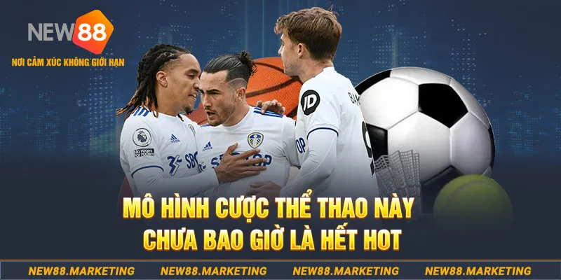 suncity88 gà chọi c1 thomo