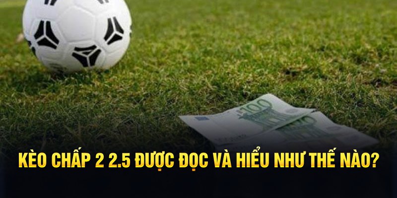 suncity88 đá gà thomo